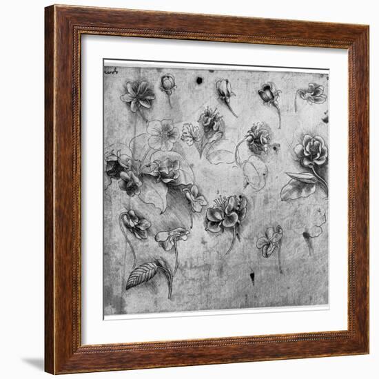Study of Flowers, C1481-1483-Leonardo da Vinci-Framed Giclee Print