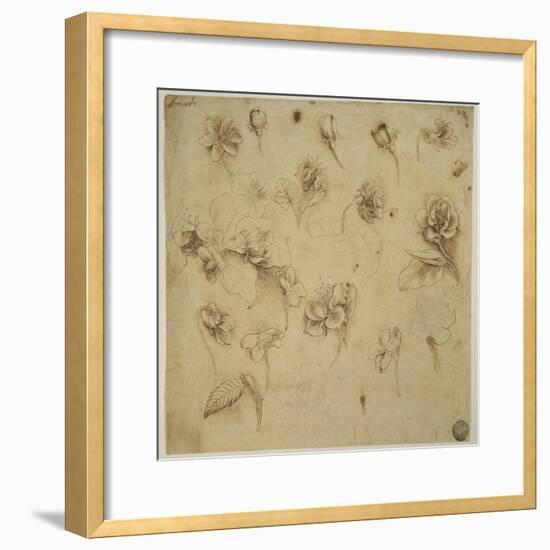 Study of Flowers-Leonardo da Vinci-Framed Giclee Print