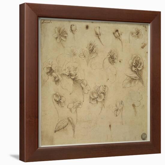 Study of Flowers-Leonardo da Vinci-Framed Giclee Print