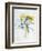 Study of Four Species of Crocus-Georg Dionysius Ehret-Framed Giclee Print