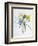 Study of Four Species of Crocus-Georg Dionysius Ehret-Framed Giclee Print