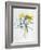 Study of Four Species of Crocus-Georg Dionysius Ehret-Framed Giclee Print