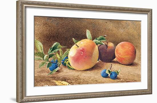Study Of Fruit, 1877-John William Hill-Framed Art Print