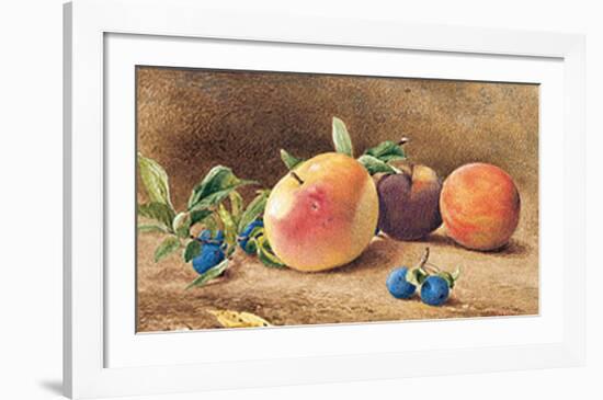 Study Of Fruit, 1877-John William Hill-Framed Art Print