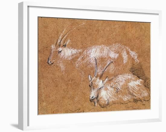 Study of Goats-Thomas Gainsborough-Framed Giclee Print