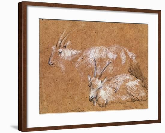 Study of Goats-Thomas Gainsborough-Framed Giclee Print