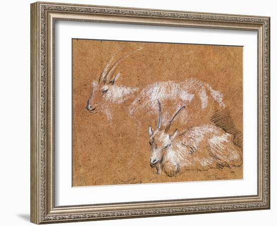 Study of Goats-Thomas Gainsborough-Framed Giclee Print