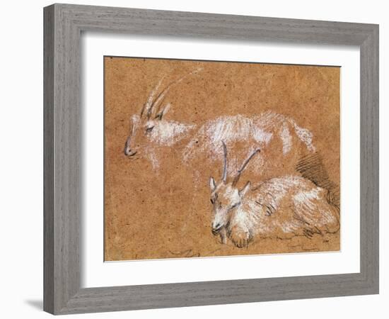 Study of Goats-Thomas Gainsborough-Framed Giclee Print