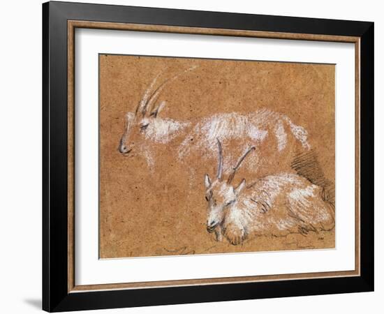 Study of Goats-Thomas Gainsborough-Framed Giclee Print