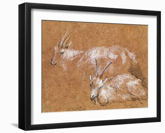 Study of Goats-Thomas Gainsborough-Framed Giclee Print