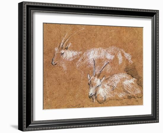 Study of Goats-Thomas Gainsborough-Framed Giclee Print