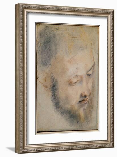 Study of Head (Charcoal on Paper, 1580-1583)-Federico Fiori Barocci or Baroccio-Framed Giclee Print