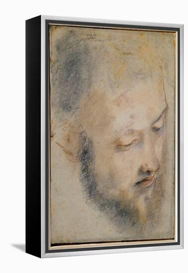 Study of Head (Charcoal on Paper, 1580-1583)-Federico Fiori Barocci or Baroccio-Framed Premier Image Canvas