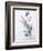 Study of Heather Cornflower and Blossom-Madeleine Lemaire-Framed Giclee Print