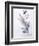 Study of Heather Cornflower and Blossom-Madeleine Lemaire-Framed Giclee Print