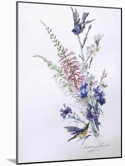 Study of Heather Cornflower and Blossom-Madeleine Lemaire-Mounted Giclee Print