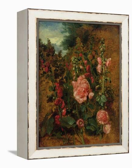 Study of Hollyhocks, C.1826 (Oil on Board)-John Constable-Framed Premier Image Canvas