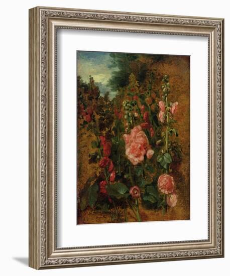 Study of Hollyhocks, C.1826 (Oil on Board)-John Constable-Framed Giclee Print