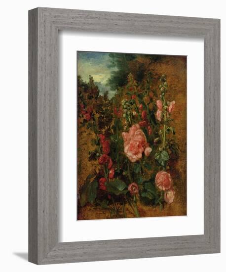 Study of Hollyhocks, C.1826 (Oil on Board)-John Constable-Framed Giclee Print