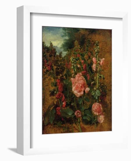 Study of Hollyhocks, C.1826 (Oil on Board)-John Constable-Framed Giclee Print