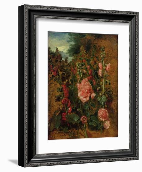 Study of Hollyhocks, C.1826 (Oil on Board)-John Constable-Framed Giclee Print