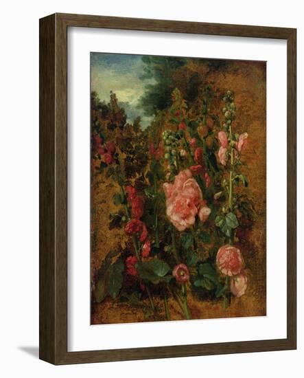 Study of Hollyhocks, C.1826 (Oil on Board)-John Constable-Framed Giclee Print