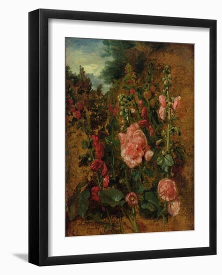 Study of Hollyhocks, C.1826 (Oil on Board)-John Constable-Framed Giclee Print