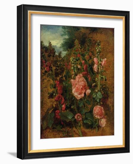 Study of Hollyhocks, C.1826 (Oil on Board)-John Constable-Framed Giclee Print