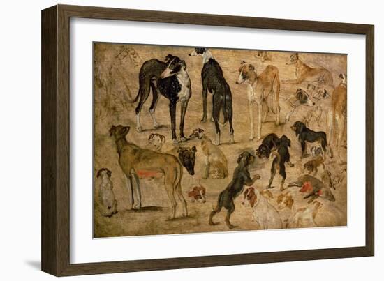 Study of Hounds, 1616-Jan Brueghel the Elder-Framed Giclee Print