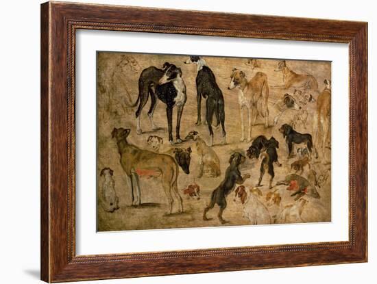 Study of Hounds, 1616-Jan Brueghel the Elder-Framed Giclee Print