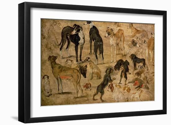 Study of Hounds, 1616-Jan Brueghel the Elder-Framed Giclee Print