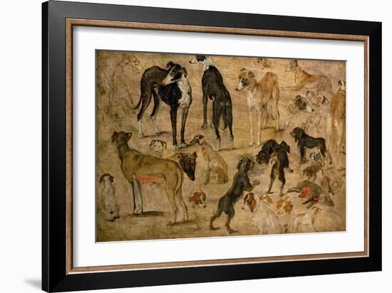 Study of Hounds, 1616-Jan Brueghel the Elder-Framed Giclee Print