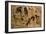 Study of Hounds, 1616-Jan Brueghel the Elder-Framed Giclee Print