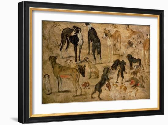 Study of Hounds, 1616-Jan Brueghel the Elder-Framed Giclee Print