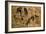 Study of Hounds, 1616-Jan Brueghel the Elder-Framed Giclee Print