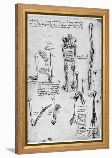 Study of Human Bones, Late 15th or 16th Century-Leonardo da Vinci-Framed Premier Image Canvas