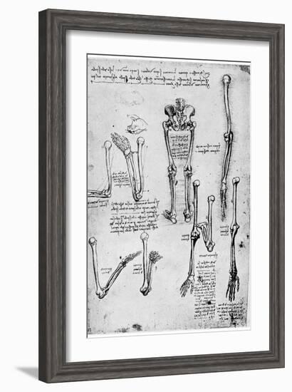 Study of Human Bones, Late 15th or 16th Century-Leonardo da Vinci-Framed Giclee Print