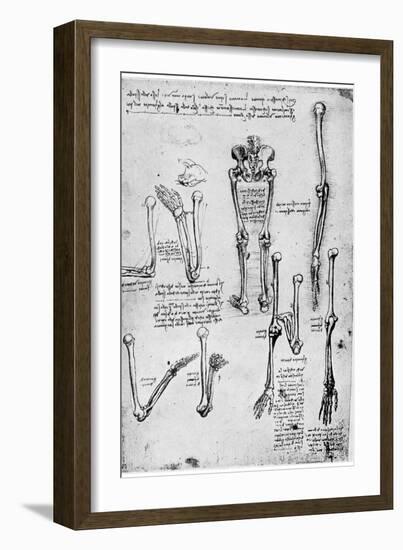 Study of Human Bones, Late 15th or 16th Century-Leonardo da Vinci-Framed Giclee Print