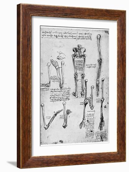 Study of Human Bones, Late 15th or 16th Century-Leonardo da Vinci-Framed Giclee Print