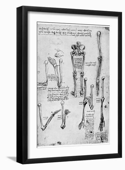 Study of Human Bones, Late 15th or 16th Century-Leonardo da Vinci-Framed Giclee Print