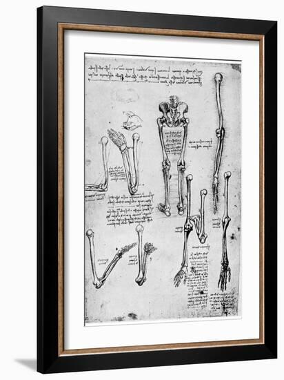 Study of Human Bones, Late 15th or 16th Century-Leonardo da Vinci-Framed Giclee Print