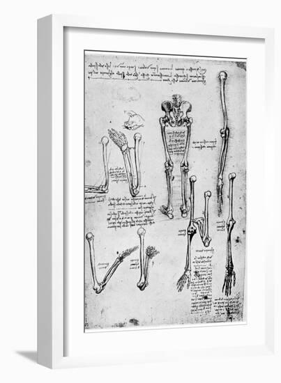 Study of Human Bones, Late 15th or 16th Century-Leonardo da Vinci-Framed Giclee Print