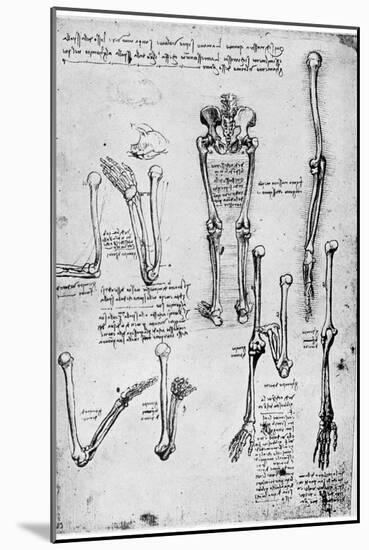 Study of Human Bones, Late 15th or 16th Century-Leonardo da Vinci-Mounted Giclee Print