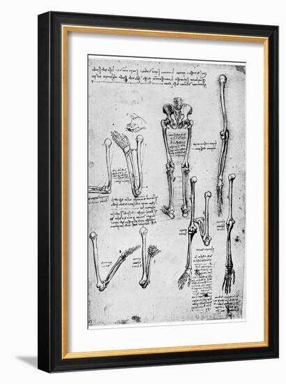 Study of Human Bones, Late 15th or 16th Century-Leonardo da Vinci-Framed Giclee Print