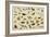 Study of Insects-Jan Van, The Elder Kessel-Framed Giclee Print