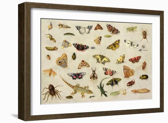 Study of Insects-Jan Van, The Elder Kessel-Framed Giclee Print