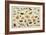 Study of Insects-Jan Van, The Elder Kessel-Framed Giclee Print