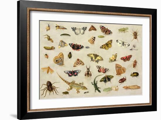 Study of Insects-Jan Van, The Elder Kessel-Framed Giclee Print