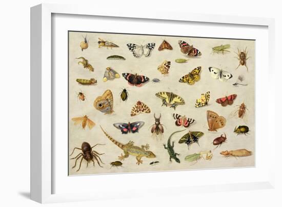 Study of Insects-Jan Van, The Elder Kessel-Framed Giclee Print