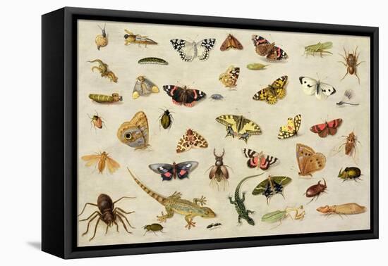 Study of Insects-Jan Van, The Elder Kessel-Framed Premier Image Canvas